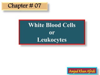 White Blood Cells
or
Leukocytes
Amjad KhanAfridi
Chapter # 07
 
