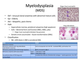 Myelodysplasia 
(MDS) 
• Def – Unusual clonal anaemias with abnormal mature cells 
• Epi – Elderly 
• Aet – Idiopathic, post-chemo 
• Path 
– Hypercellular marrow, peripheral cytopenias (high apoptosis) 
– Cells – Abnormal form and function (RBCs, WBCs, plts) 
• Pelger-Huet neutrophils (bilobed, few granules) 
– Genetic errors accumulate – Acute transformation (AML) 
• Classification 
– NB: >20% blasts in BM is considered AML 
Pelger-Huet neutrophils 
Ring sideroblasts 
 