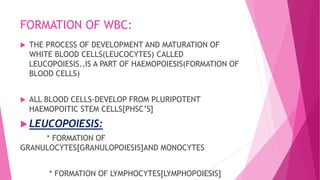 FORMATION OF WBC:
 THE PROCESS OF DEVELOPMENT AND MATURATION OF
WHITE BLOOD CELLS(LEUCOCYTES) CALLED
LEUCOPOIESIS.,IS A PART OF HAEMOPOIESIS(FORMATION OF
BLOOD CELLS)
 ALL BLOOD CELLS-DEVELOP FROM PLURIPOTENT
HAEMOPOITIC STEM CELLS[PHSC’S]
 LEUCOPOIESIS:
* FORMATION OF
GRANULOCYTES[GRANULOPOIESIS]AND MONOCYTES
* FORMATION OF LYMPHOCYTES[LYMPHOPOIESIS]
 