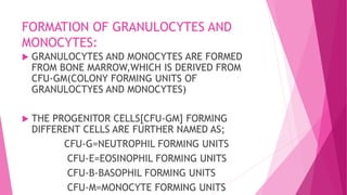 FORMATION OF GRANULOCYTES AND
MONOCYTES:
 GRANULOCYTES AND MONOCYTES ARE FORMED
FROM BONE MARROW,WHICH IS DERIVED FROM
CFU-GM(COLONY FORMING UNITS OF
GRANULOCTYES AND MONOCYTES)
 THE PROGENITOR CELLS[CFU-GM] FORMING
DIFFERENT CELLS ARE FURTHER NAMED AS;
CFU-G=NEUTROPHIL FORMING UNITS
CFU-E=EOSINOPHIL FORMING UNITS
CFU-B-BASOPHIL FORMING UNITS
CFU-M=MONOCYTE FORMING UNITS
 
