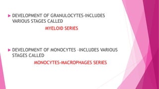  DEVELOPMENT OF GRANULOCYTES-INCLUDES
VARIOUS STAGES CALLED
MYELOID SERIES
 DEVELOPMENT OF MONOCYTES –INCLUDES VARIOUS
STAGES CALLED
MONOCYTES-MACROPHAGES SERIES
 