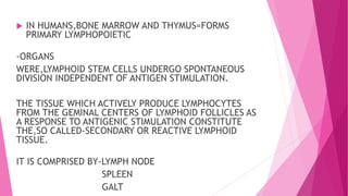  IN HUMANS,BONE MARROW AND THYMUS=FORMS
PRIMARY LYMPHOPOIETIC
-ORGANS
WERE,LYMPHOID STEM CELLS UNDERGO SPONTANEOUS
DIVISION INDEPENDENT OF ANTIGEN STIMULATION.
THE TISSUE WHICH ACTIVELY PRODUCE LYMPHOCYTES
FROM THE GEMINAL CENTERS OF LYMPHOID FOLLICLES AS
A RESPONSE TO ANTIGENIC STIMULATION CONSTITUTE
THE,SO CALLED-SECONDARY OR REACTIVE LYMPHOID
TISSUE.
IT IS COMPRISED BY-LYMPH NODE
SPLEEN
GALT
 