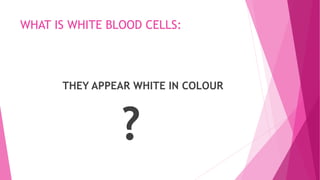 WHAT IS WHITE BLOOD CELLS:
THEY APPEAR WHITE IN COLOUR
?
 