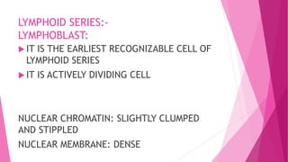 LYMPHOID SERIES:-
LYMPHOBLAST:
 IT IS THE EARLIEST RECOGNIZABLE CELL OF
LYMPHOID SERIES
 IT IS ACTIVELY DIVIDING CELL
NUCLEAR CHROMATIN: SLIGHTLY CLUMPED
AND STIPPLED
NUCLEAR MEMBRANE: DENSE
 