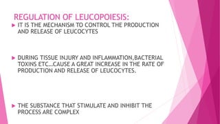 REGULATION OF LEUCOPOIESIS:
 IT IS THE MECHANISM TO CONTROL THE PRODUCTION
AND RELEASE OF LEUCOCYTES
 DURING TISSUE INJURY AND INFLAMMATION,BACTERIAL
TOXINS ETC…CAUSE A GREAT INCREASE IN THE RATE OF
PRODUCTION AND RELEASE OF LEUCOCYTES.
 THE SUBSTANCE THAT STIMULATE AND INHIBIT THE
PROCESS ARE COMPLEX
 