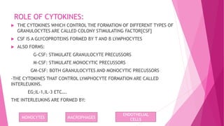 ROLE OF CYTOKINES:
 THE CYTOKINES WHICH CONTROL THE FORMATION OF DIFFERENT TYPES OF
GRANULOCYTES ARE CALLED COLONY STIMULATING FACTOR[CSF]
 CSF IS A GLYCOPROTEINS FORMED BY T AND B LYMPHOCYTES
 ALSO FORMS:
G-CSF: STIMULATE GRANULOCYTE PRECUSSORS
M-CSF: STIMULATE MONOCYTIC PRECUSSORS
GM-CSF: BOTH GRANULOCYTES AND MONOCYTIC PRECUSSORS
-THE CYTOKINES THAT CONTROL LYMPHOCYTE FORMATION ARE CALLED
INTERLEUKINS.
EG;IL-1,IL-3 ETC….
THE INTERLEUKINS ARE FORMED BY:
MONOCYTES MACROPHAGES
ENDOTHELIAL
CELLS
 