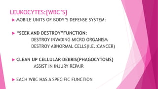 LEUKOCYTES:[WBC’S]
 MOBILE UNITS OF BODY’S DEFENSE SYSTEM:
 “SEEK AND DESTROY”FUNCTION:
DESTROY INVADING MICRO ORGANISM
DESTROY ABNORMAL CELLS(I.E.:CANCER)
 CLEAN UP CELLULAR DEBRIS{PHAGOCYTOSIS}
ASSIST IN INJURY REPAIR
 EACH WBC HAS A SPECIFIC FUNCTION
 