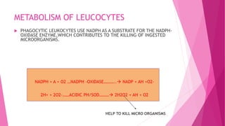 METABOLISM OF LEUCOCYTES
 PHAGOCYTIC LEUKOCYTES USE NADPH AS A SUBSTRATE FOR THE NADPH-
OXIDASE ENZYME,WHICH CONTRIBUTES TO THE KILLING OF INGESTED
MICROORGANISMS.
NADPH + A + O2 …NADPH -OXIDASE……….. NADP + AH +O2-
2H+ + 2O2-……ACIDIC PH/SOD……… 2H2O2 + AH + O2
HELP TO KILL MICRO ORGANISMS
 