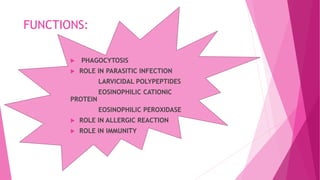 FUNCTIONS:
 PHAGOCYTOSIS
 ROLE IN PARASITIC INFECTION
LARVICIDAL POLYPEPTIDES
EOSINOPHILIC CATIONIC
PROTEIN
EOSINOPHILIC PEROXIDASE
 ROLE IN ALLERGIC REACTION
 ROLE IN IMMUNITY
 