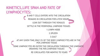KINETICS,LIFE SPAN AND FATE OF
LYMPHOCYTES:
B AND T CELLS ENTERS INTO THE CIRCULATION
REMAINS IN CIRCULATION FOR A FEW HOURS
LEAK OUT THROUGH THE VENULES
SETTLE IN THE PERIPHERAL LYMPHOID TISSUES
1.LYMPH NODE
2.SPLEEN
3.GALT
AT ANY GIVEN TIME,ONLY 2% OF THE BODY LYMPHOCYTES ARE IN THE
PER.LYMPHOID TISSUE
SOME LYMPHOCYTES RE-ENTER THE CIRCULATION THROUGH THE LYMPHATIC
DRAINING THE PER.LYMPHOID TISSUES
RE-CIRCULATES FOR MONTHS TO YEARS
 