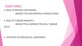 FUNCTIONS:
 ROLE IN DEFENCE MECHANISM:
MONOCYTES+NEUTROPHILS=PHAGOCYTOSIS
 ROLE IN TUMOUR IMMUNITY:
MONOCYTES+LYMPHOCYTES=KILL TUMOUR
CELLS
 SYNTHESIS OF BIOLOGICAL SUBSTANCES
 