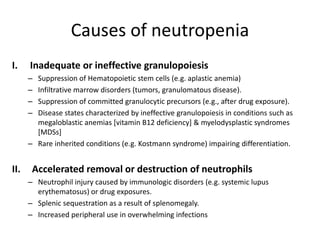 Causes of neutropenia
I. Inadequate or ineffective granulopoiesis
– Suppression of Hematopoietic stem cells (e.g. aplastic anemia)
– Infiltrative marrow disorders (tumors, granulomatous disease).
– Suppression of committed granulocytic precursors (e.g., after drug exposure).
– Disease states characterized by ineffective granulopoiesis in conditions such as
megaloblastic anemias [vitamin B12 deficiency] & myelodysplastic syndromes
[MDSs]
– Rare inherited conditions (e.g. Kostmann syndrome) impairing differentiation.
II. Accelerated removal or destruction of neutrophils
– Neutrophil injury caused by immunologic disorders (e.g. systemic lupus
erythematosus) or drug exposures.
– Splenic sequestration as a result of splenomegaly.
– Increased peripheral use in overwhelming infections
 
