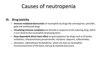 Causes of neutropenia
III. Drug toxicity
– Immune mediated destruction of neutrophils by drugs like aminopyrine, penicillin,
gold and antithyroid drugs.
– Circulating immune complexes are formed in response to the inducing drug, which
in turn bind to the neutrophils destroying them.
– Dose dependent direct toxic effect on granulopoiesis by drugs such as β lactam
antibiotics, chlorpromazine,procainamide, clozapine, dapsone, sulfonamides,
– phenytoin, indomethacin & diclofenac, which are toxic to neutrophils,
microenvironment of the bone marrow & myeloid precursors.
 