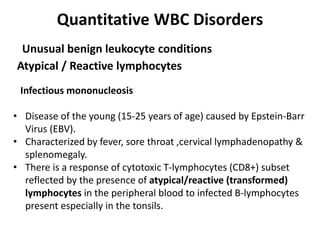 Quantitative WBC Disorders
Unusual benign leukocyte conditions
Infectious mononucleosis
• Disease of the young (15-25 years of age) caused by Epstein-Barr
Virus (EBV).
• Characterized by fever, sore throat ,cervical lymphadenopathy &
splenomegaly.
• There is a response of cytotoxic T-lymphocytes (CD8+) subset
reflected by the presence of atypical/reactive (transformed)
lymphocytes in the peripheral blood to infected B-lymphocytes
present especially in the tonsils.
Atypical / Reactive lymphocytes
 