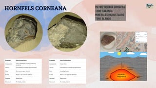 HORNFELS CORNEANA
HORNFELS CORNEANA
HORNFELS CORNEANA
Propiedad Valor/Característica
Composición Cuarzo, feldespato, biotita, andalucita,
cordierita
Textura Granoblástica (cristales equigranulares)
Color Gris oscuro, negro, marrón
Dureza Alta (6 a 7 en la escala de Mohs)
Densidad Media a alta
Estructura No foliada, masiva
MATRIZ MORADA GRISACEA
TONO NARANJA
MINERALES INCRUSTADOS
TONO BLANCO
Propiedad Valor/Característica
Composición rica en silice
Textura Granoblástica (cristales equigranulares)
Color morada grisacea
Dureza Alta (6 a 7 en la escala de Mohs)
Densidad Media a alta
Estructura No foliada, masiva
 