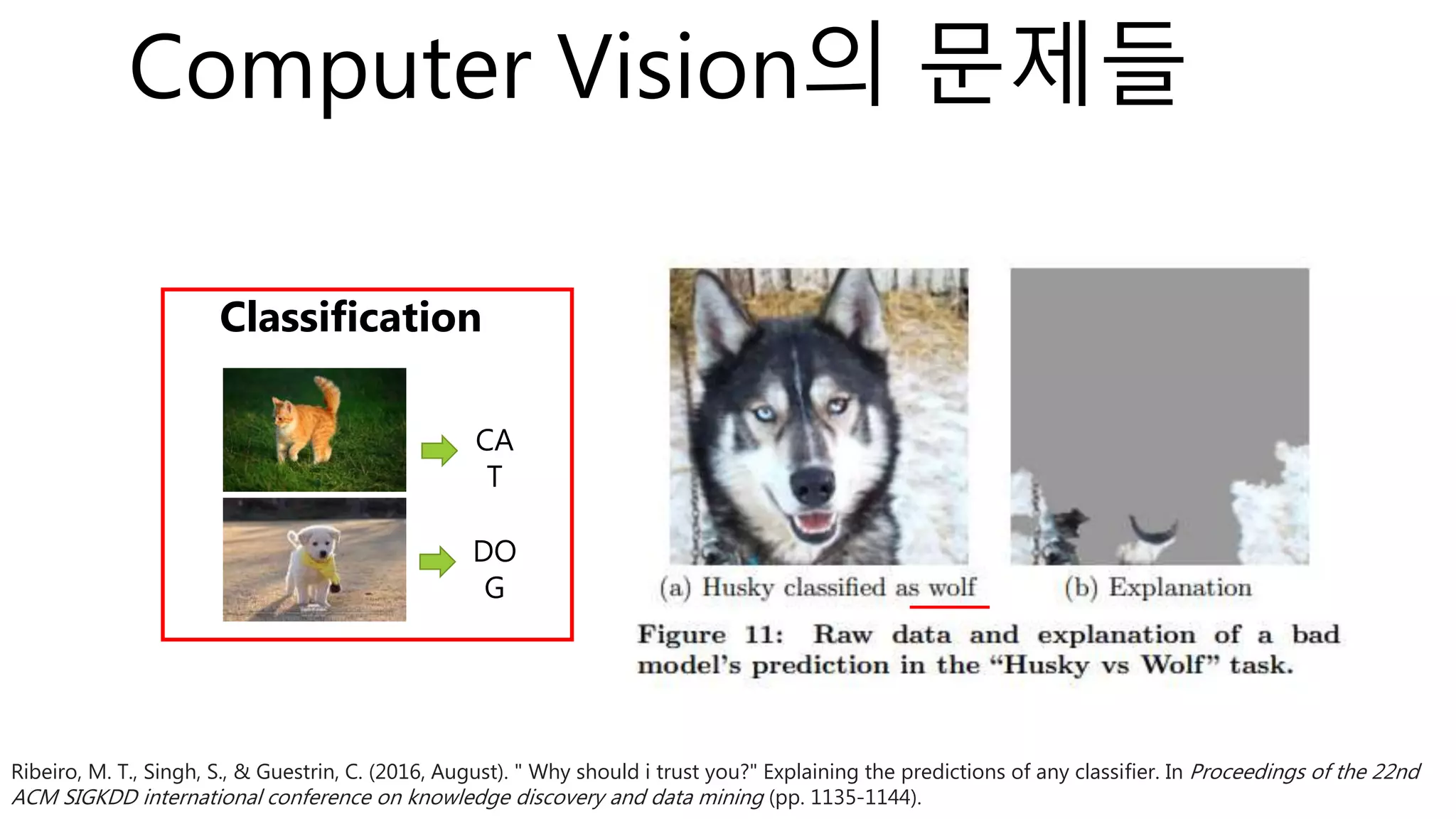 Computer Vision의 문제들
Classification
CA
T
DO
G
Ribeiro, M. T., Singh, S., & Guestrin, C. (2016, August). " Why should i trust you?" Explaining the predictions of any classifier. In Proceedings of the 22nd
ACM SIGKDD international conference on knowledge discovery and data mining (pp. 1135-1144).
 