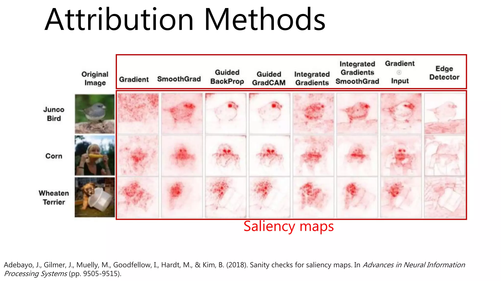 Attribution Methods
Adebayo, J., Gilmer, J., Muelly, M., Goodfellow, I., Hardt, M., & Kim, B. (2018). Sanity checks for saliency maps. In Advances in Neural Information
Processing Systems (pp. 9505-9515).
Saliency maps
 
