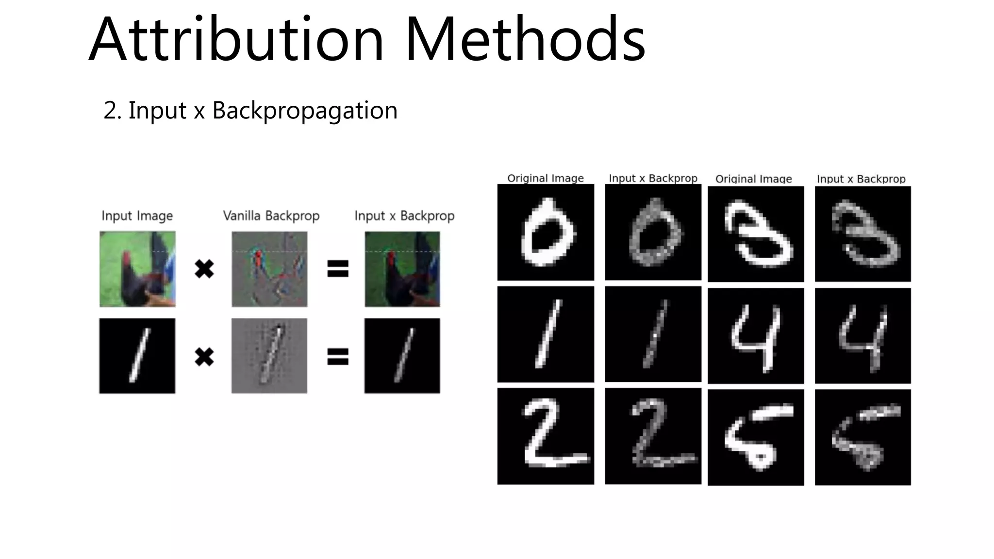 2. Input x Backpropagation
Attribution Methods
 