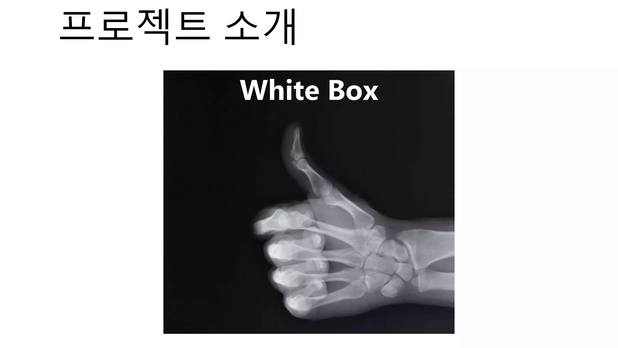 프로젝트 소개
White Box
 