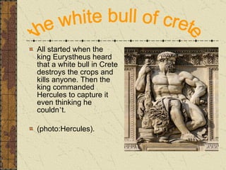 All started when the king Eurystheus heard that a white bull in Crete destroys the crops and kills anyone. Then the king commanded  Hercules to capture it even thinking he couldn ’ t. (photo:Hercules). the white bull of crete 