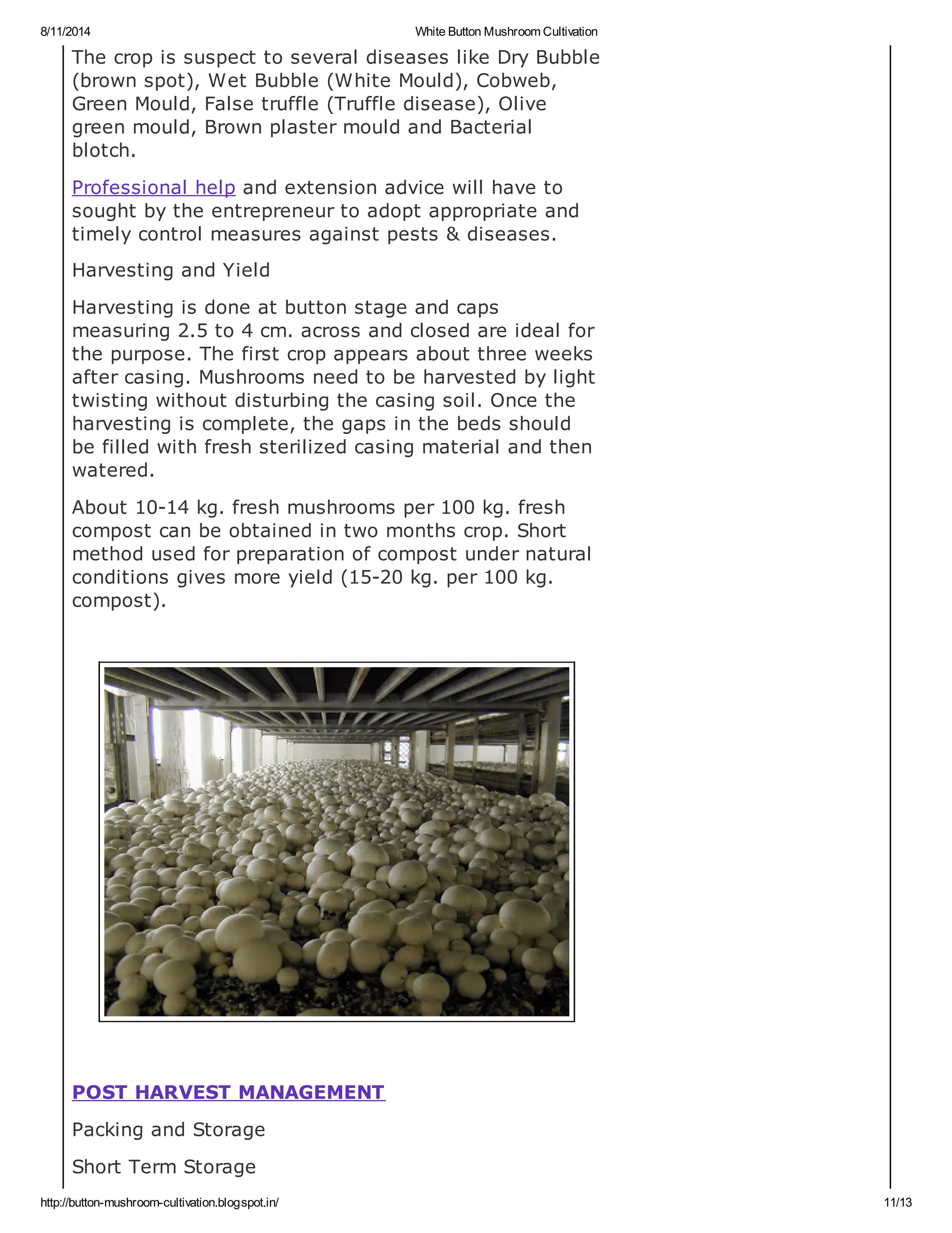 8/11/2014 White Button Mushroom Cultivation
http://button-mushroom-cultivation.blogspot.in/ 11/13
The crop is suspect to several diseases like Dry Bubble
(brown spot), Wet Bubble (White Mould), Cobweb,
Green Mould, False truffle (Truffle disease), Olive
green mould, Brown plaster mould and Bacterial
blotch.
Professional help and extension advice will have to
sought by the entrepreneur to adopt appropriate and
timely control measures against pests & diseases.
Harvesting and Yield
Harvesting is done at button stage and caps
measuring 2.5 to 4 cm. across and closed are ideal for
the purpose. The first crop appears about three weeks
after casing. Mushrooms need to be harvested by light
twisting without disturbing the casing soil. Once the
harvesting is complete, the gaps in the beds should
be filled with fresh sterilized casing material and then
watered.
About 10-14 kg. fresh mushrooms per 100 kg. fresh
compost can be obtained in two months crop. Short
method used for preparation of compost under natural
conditions gives more yield (15-20 kg. per 100 kg.
compost).
POST HARVEST MANAGEMENT
Packing and Storage
Short Term Storage
 