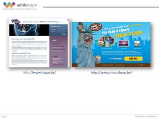 DOCUMENT COMMERCIAL
http://www.bsgpe.be/ http://www.chocochoco.be/
2015
 