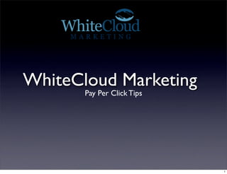 WhiteCloud Marketing
       Pay Per Click Tips




                            1
 