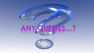 Bella’s A Case Study In Organizational Behavior 