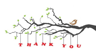 Bella’s A Case Study In Organizational Behavior 