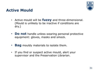 Active Mould

  • Active mould will be fuzzy and three-dimensional.
    (Mould is unlikely to be inactive if conditions are
    dry.)

  • Do not handle unless wearing personal protective
    equipment: gloves, masks and smock.


  • Bag mouldy materials to isolate them.

  • If you find or suspect active mould, alert your
    supervisor and the Preservation Librarian.



                                                          31
 