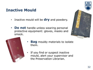 Inactive Mould

  • Inactive mould will be dry and powdery.


  • Do not handle unless wearing personal
    protective equipment: gloves, masks and
    smock.

             • Bag mouldy materials to isolate
                them.

             • If you find or suspect inactive
               mould, alert your supervisor and
               the Preservation Librarian.


                                                  32
 