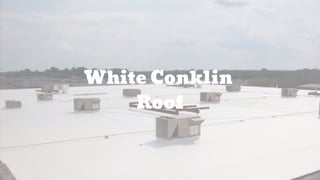 White Conklin
Roof
 