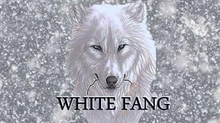 WHITE FANG
 