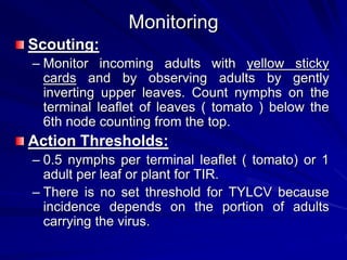 Monitoring
Scouting:
– Monitor incoming adults with yellow sticky
cards and by observing adults by gently
inverting upper leaves. Count nymphs on the
terminal leaflet of leaves ( tomato ) below the
6th node counting from the top.
Action Thresholds:
– 0.5 nymphs per terminal leaflet ( tomato) or 1
adult per leaf or plant for TIR.
– There is no set threshold for TYLCV because
incidence depends on the portion of adults
carrying the virus.
 