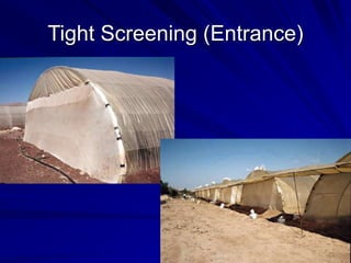 Tight Screening (Entrance)
 