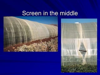 Screen in the middle
 