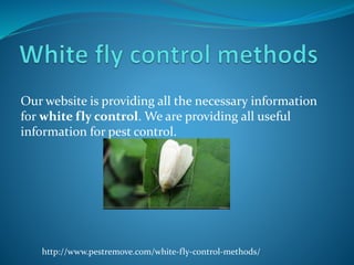 Our website is providing all the necessary information
for white fly control. We are providing all useful
information for pest control.
http://www.pestremove.com/white-fly-control-methods/
 