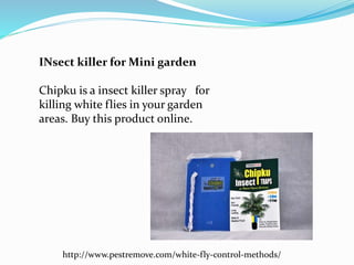 INsect killer for Mini garden
Chipku is a insect killer spray for
killing white flies in your garden
areas. Buy this product online.
http://www.pestremove.com/white-fly-control-methods/
 