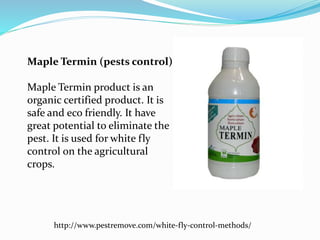 Maple Termin (pests control)
Maple Termin product is an
organic certified product. It is
safe and eco friendly. It have
great potential to eliminate the
pest. It is used for white fly
control on the agricultural
crops.
http://www.pestremove.com/white-fly-control-methods/
 