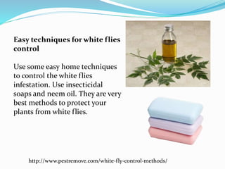 Easy techniques for white flies
control
Use some easy home techniques
to control the white flies
infestation. Use insecticidal
soaps and neem oil. They are very
best methods to protect your
plants from white flies.
http://www.pestremove.com/white-fly-control-methods/
 
