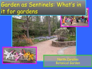 Garden as Sentinels: What’s in it for gardens North Carolina Botanical Garden 