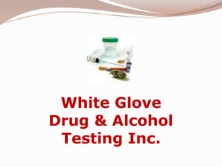 White Glove Drug & Alcohol Testing Inc. 