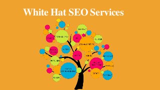 White Hat SEO Services
 