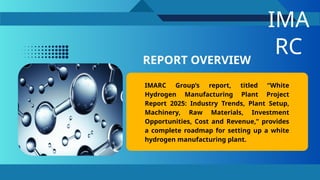 White Hydrogen Manufacturing Plant Cost Breakdown 2025 | PPTX