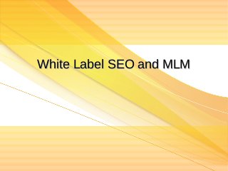 White Label SEO and MLM

 