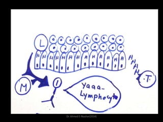 Dr. Ahmed E-lNashar(2014)

 