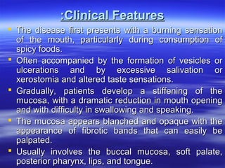 :Clinical Features
 The disease first presents with a burning sensation
of the mouth, particularly during consumption of
spicy foods.
 Often accompanied by the formation of vesicles or
ulcerations and by excessive salivation or
xerostomia and altered taste sensations.
 Gradually, patients develop a stiffening of the
mucosa, with a dramatic reduction in mouth opening
and with difficulty in swallowing and speaking.
 The mucosa appears blanched and opaque with the
appearance of fibrotic bands that can easily be
palpated.
 Usually involves the buccal mucosa, soft palate,
posterior pharynx, lips, and tongue.

 