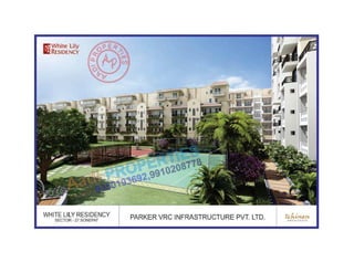 White lily residency sonepat,sector 27 9350193692