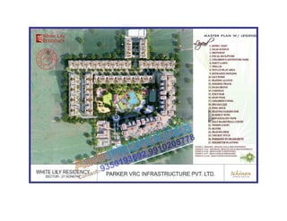 White lily residency sonepat,sector 27 9350193692
