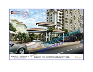 White lily residency sonepat,sector 27 9350193692